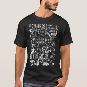 Camiseta Vintage Dinosaurios Fossils T-Rex Paleontología