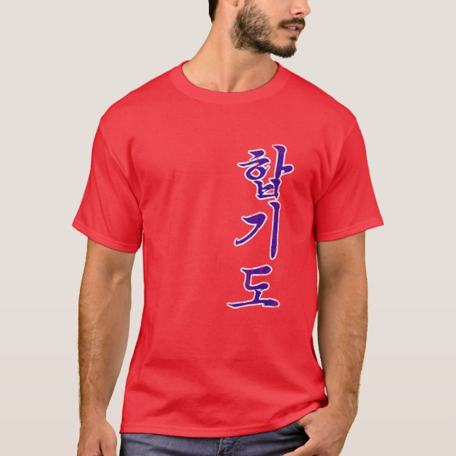 Camiseta Vintage Hapkido T-Shirt (Anverso)