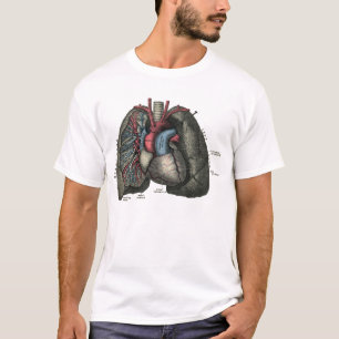 Camiseta Vintage humano 1902 de la anatomía del corazón