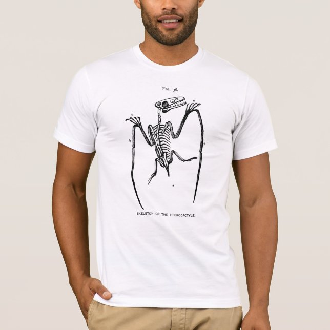 Camiseta Vintage Pterodactyl Fossil (Anverso)