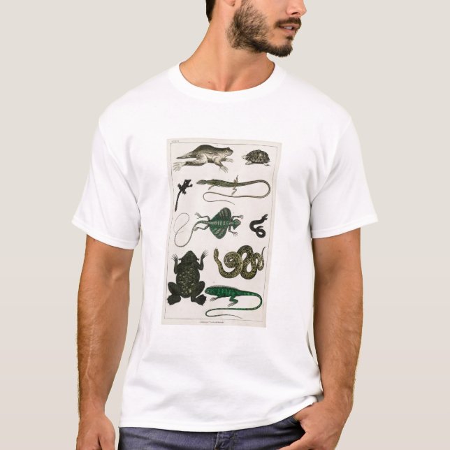 Camiseta Vintage Reptiles Snake Lizard (Anverso)