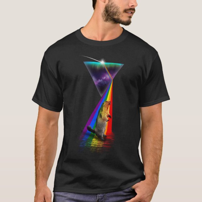 Camiseta Vintage Retro Prisma Marmot (Anverso)