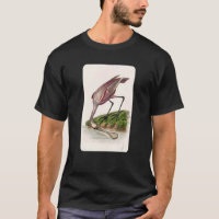 Vintage Roseate Spoonbill Bird Ilustracion Animal