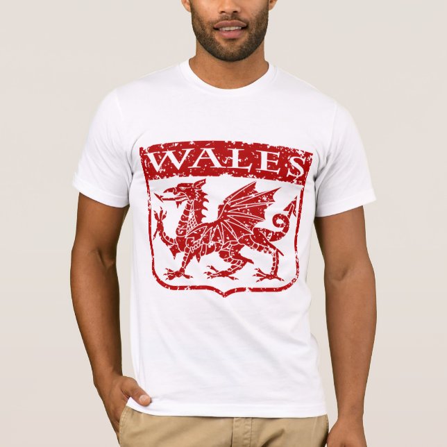 Camiseta Vintage Wales (Anverso)