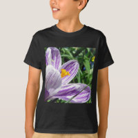Violet Spring Crocus