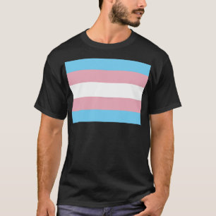 Camiseta Visibilidad de la bandera del orgullo transgénero 