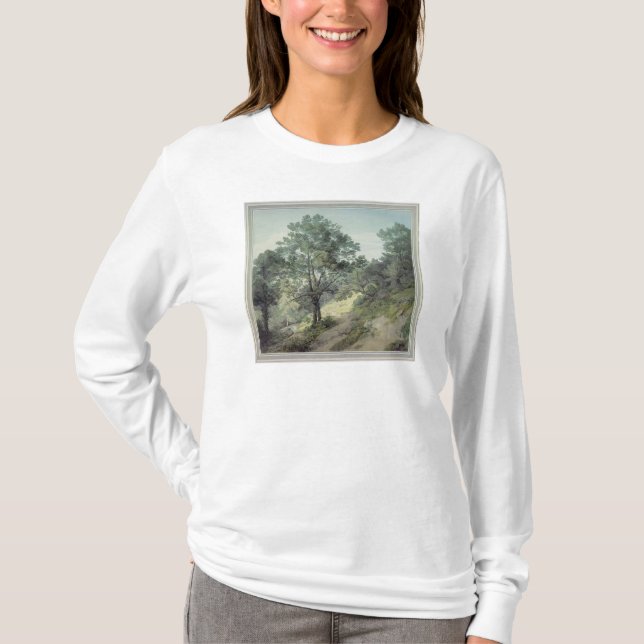 Camiseta Visión cerca de Cantonteign, Devon (Anverso)