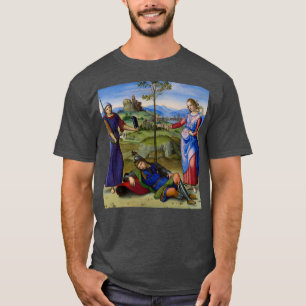 Camiseta Visión de un Knight Raphael
