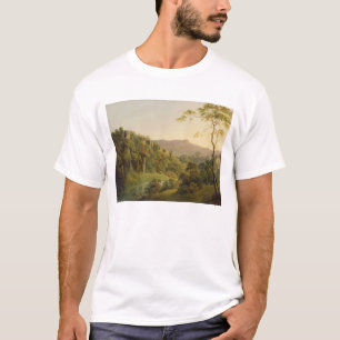 Camiseta Visión en Matlock Dale, mirando hacia la roca