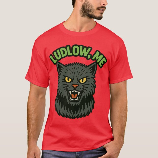 Camiseta Visit Ludlow Oversized (Anverso)