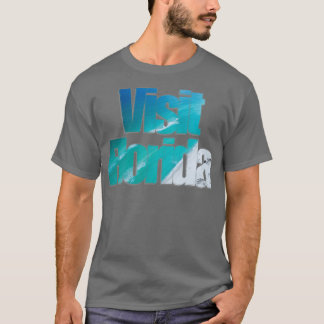 Camiseta Visitar Florida