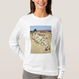 Camiseta Vista a una de las estatuas gigantes de Telemon