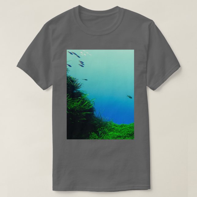 Camiseta Vista Acuario (Diseño del anverso)