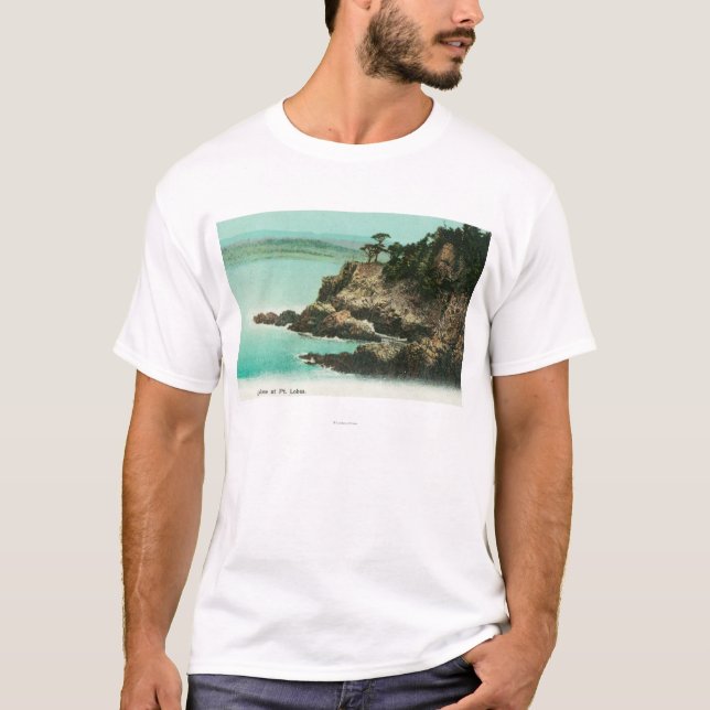 Camiseta Vista aérea de la bóveda de Eagle en el punto (Anverso)
