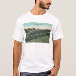 Camiseta Vista aérea de las pasas que se secan en el Sun