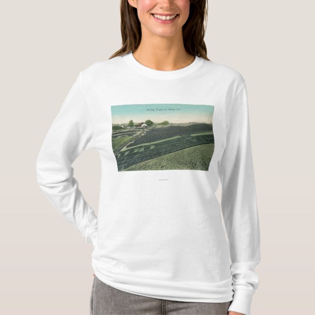 Camiseta Vista aérea de las pasas que se secan en el Sun (Anverso)