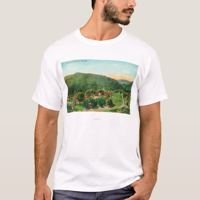 Camiseta Vista aérea de las primaveras de TownBartlett, CA (Anverso)