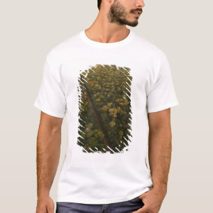 Camiseta Vista aérea de selva tropical. Reserva de Iwokrama