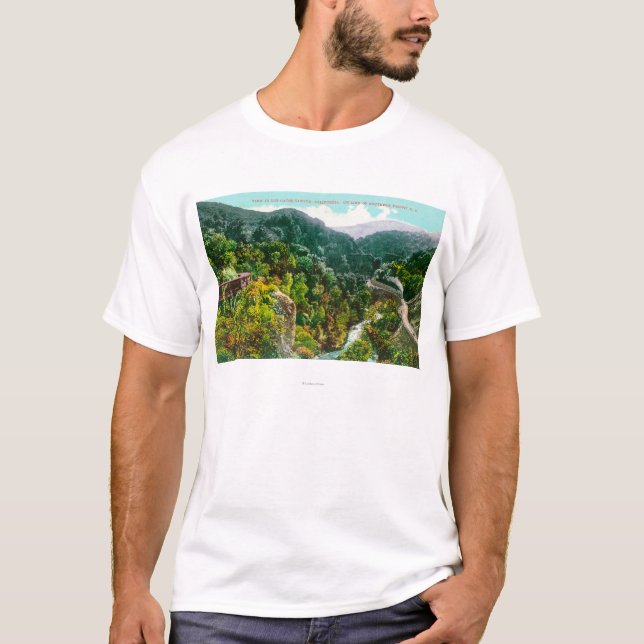Camiseta Vista aérea del barranco, Trai pacífico meridional (Anverso)