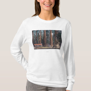 Camiseta Vista de árboles grandes en la arboleda de