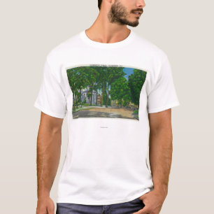 Camiseta Vista de la calle de Washington