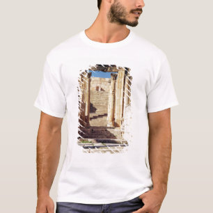 Camiseta Vista de la entrada al cristiano