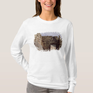 Camiseta Vista de la entrada del león