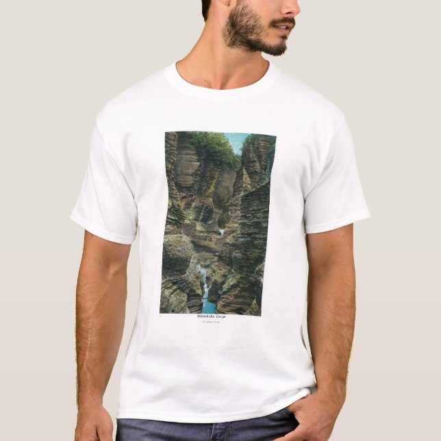 Camiseta Vista de la garganta de Minnehaha (Anverso)