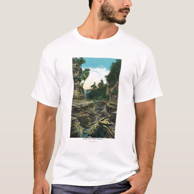 Camiseta Vista de la garganta meridional de la entrada (Anverso)