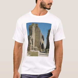 Camiseta Vista de la gran corte, entrada al hipóstilo