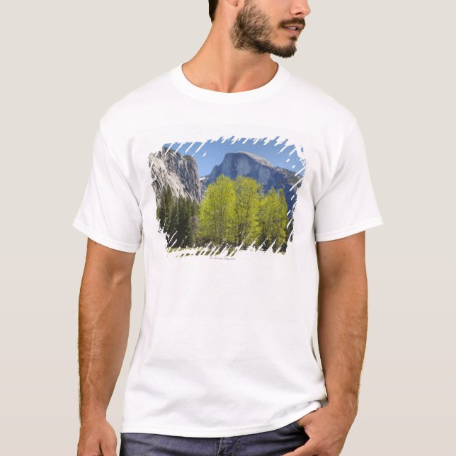 Camiseta Vista de la media bóveda (Anverso)