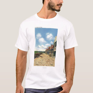 Camiseta Vista de la plataforma del sur