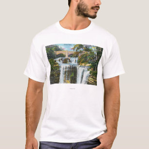 Camiseta Vista de las caídas de Haines