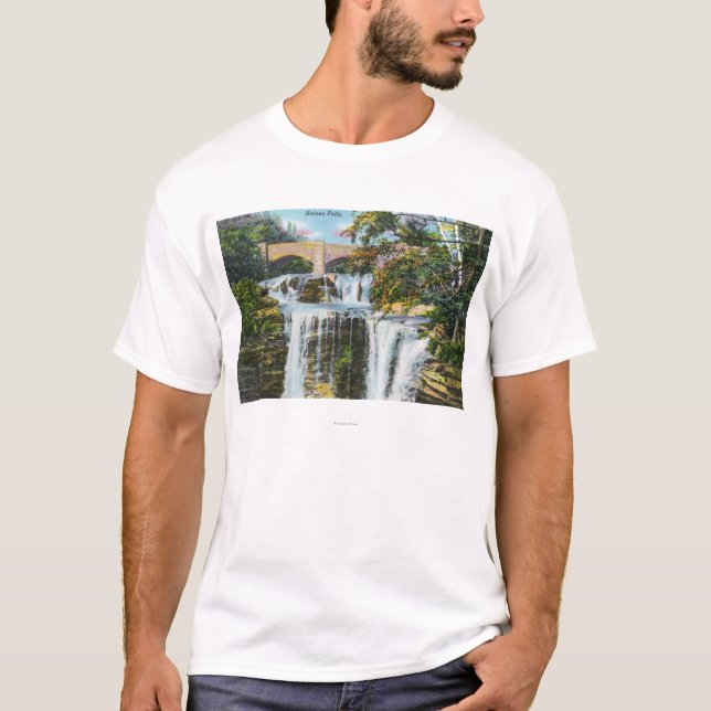 Camiseta Vista de las caídas de Haines (Anverso)