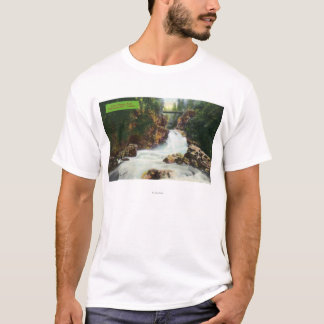 Camiseta Vista de las caídas del barranco de Lynn
