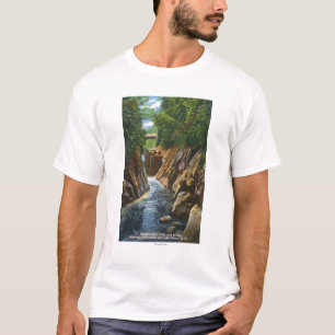 Camiseta Vista de las caídas y del puente del río de