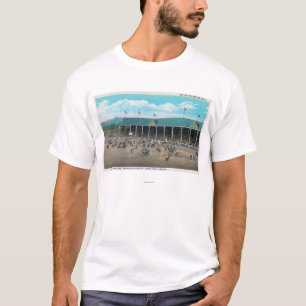 Camiseta Vista de las competencias Bucking
