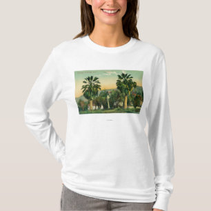 Camiseta Vista de las primaveras gemelas de PalmsParaiso,