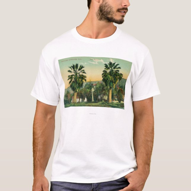 Camiseta Vista de las primaveras gemelas de PalmsParaiso, (Anverso)