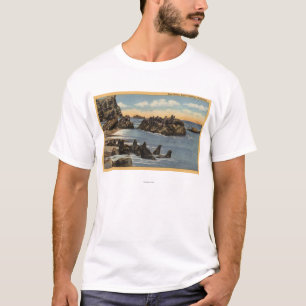 Camiseta Vista de las rocas del sello con los sellos