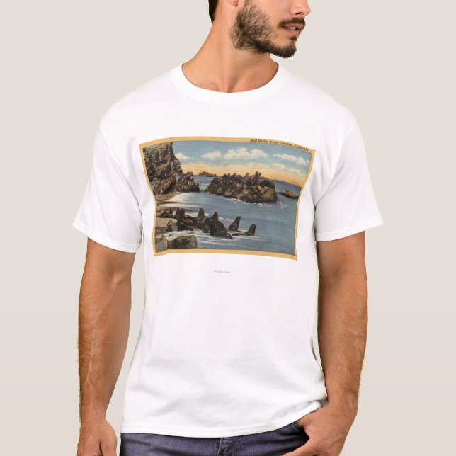 Camiseta Vista de las rocas del sello con los sellos (Anverso)