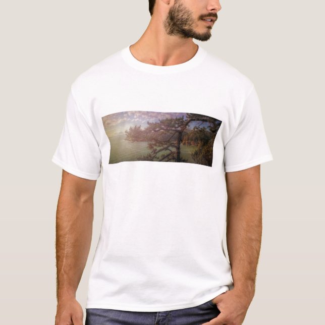 Camiseta Vista de paso de decepción (Anverso)