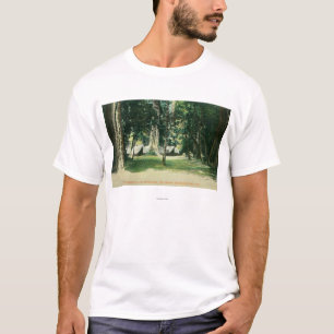 Camiseta Vista de un campo en las secoyas
