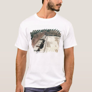 Camiseta Vista de un servicio comunal