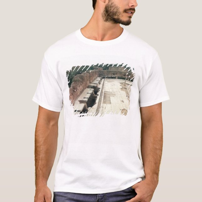 Camiseta Vista de un servicio comunal (Anverso)