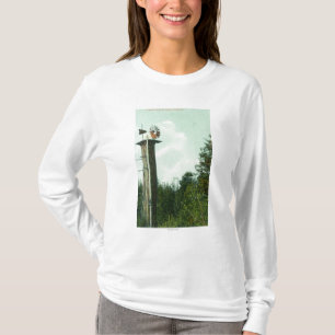 Camiseta Vista de un viento MillEureka, CA de la secoya