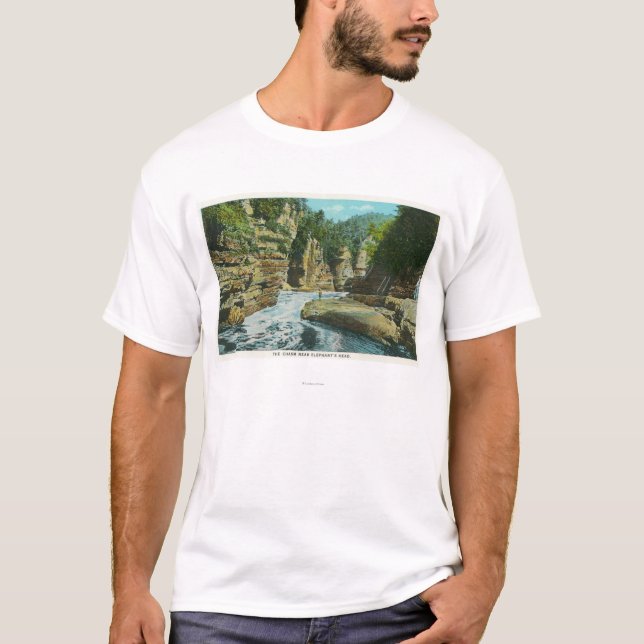 Camiseta Vista del abismo de Ausable cerca de la cabeza del (Anverso)