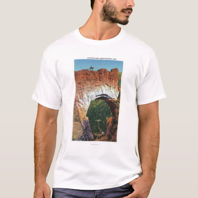 Camiseta Vista del arco del Victorian (Anverso)