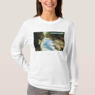 Camiseta Vista del barranco de Seymour