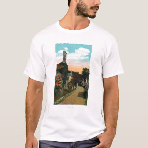 Camiseta Vista del carril de la ceniza